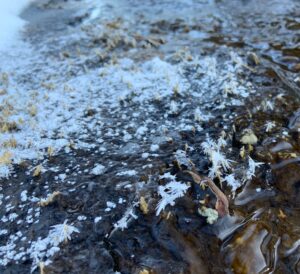 フロストフラワー