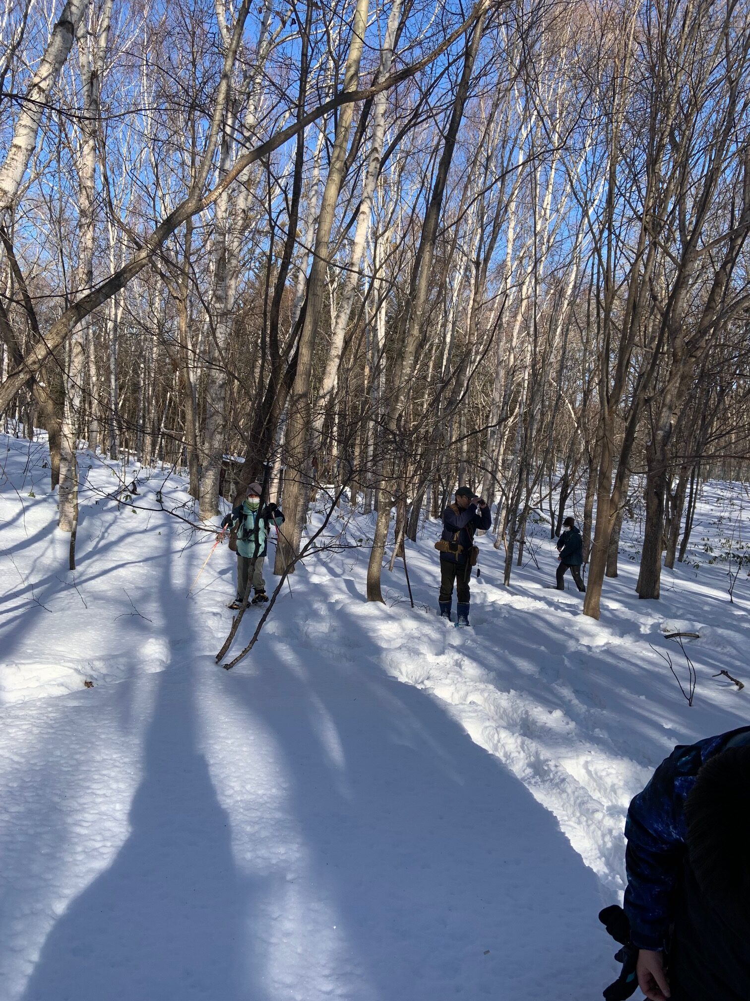 スノーシューガイドの様子
