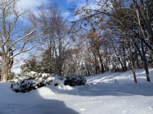 雪の積もった公園