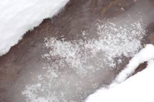 フロストフラワー