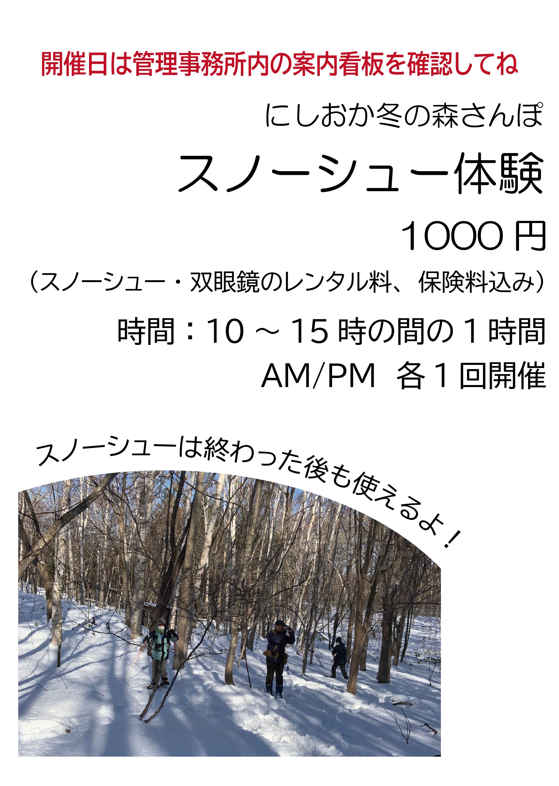 スノーシュー体験のチラシ