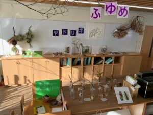 展示室の冬芽コーナーの様子