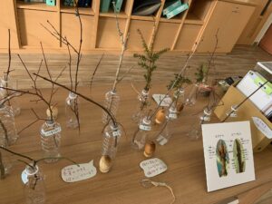 冬芽の入ったボトル