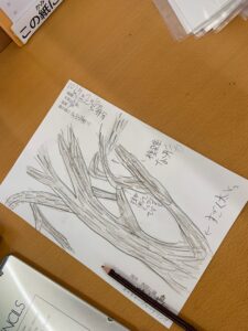 子どもが描いた木の絵