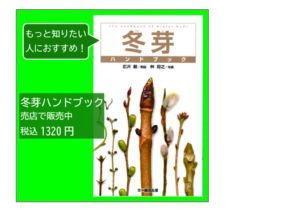 冬芽ハンドブック