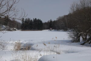 川が流れ込む池と凍っている池