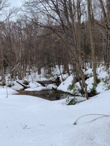 融けてきた湿地