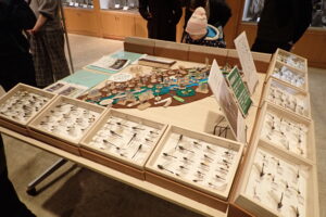トンボの標本箱標本箱