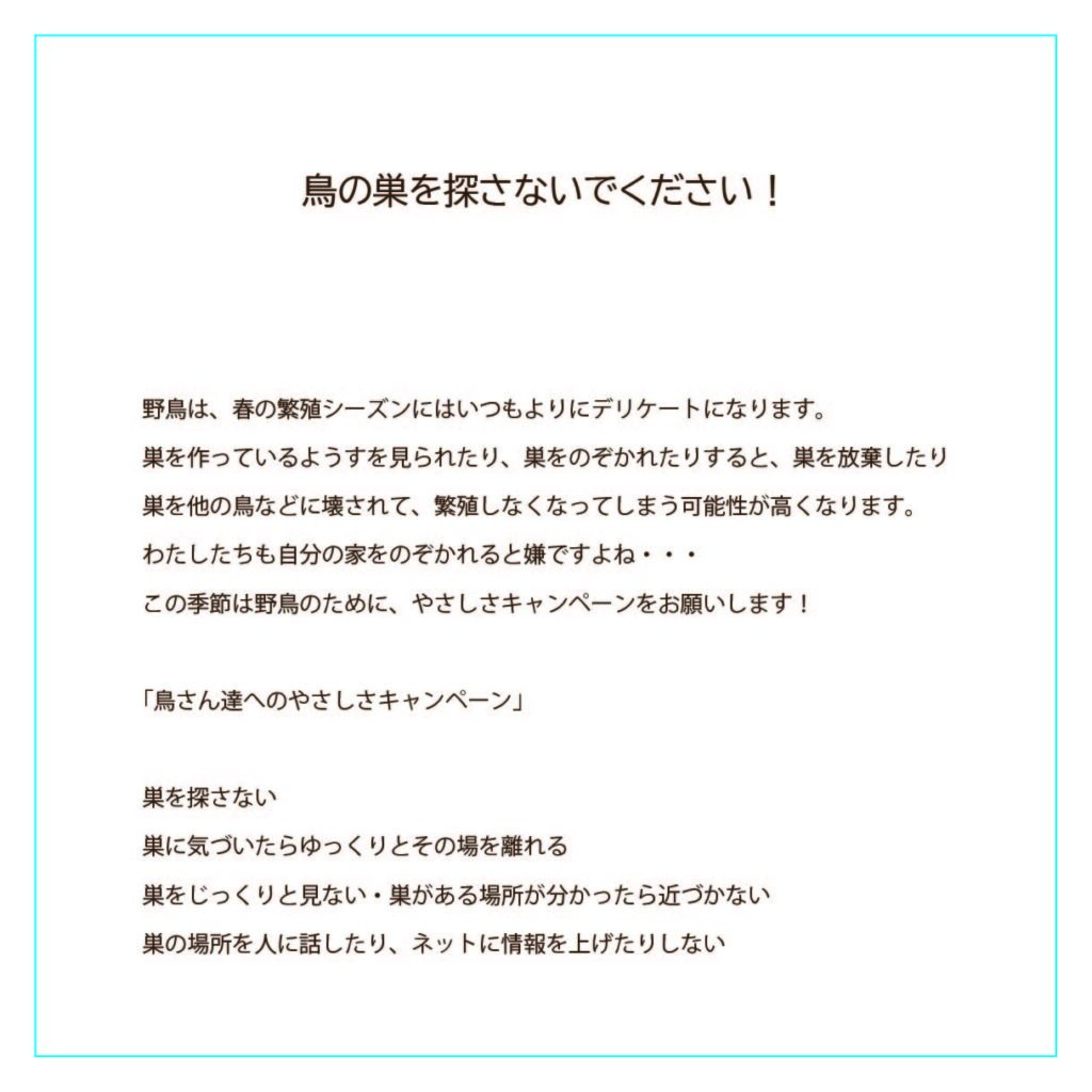 鳥の巣を探さないで