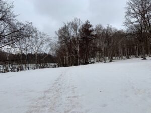 雪の積もった園内の様子