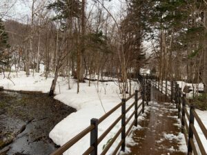 除雪した木道の様子