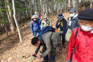 散策する参加者