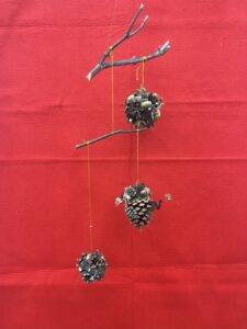 20250615木の実のボール