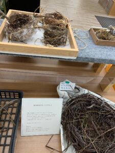 「とりのす」の展示の様子