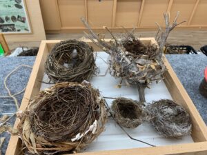 「とりのす」の展示の様子