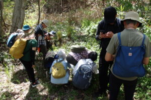 観察している参加者