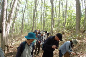 観察している参加者