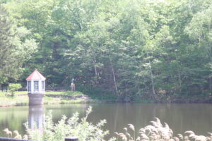 緑に囲まれた池と赤い屋根の取水塔