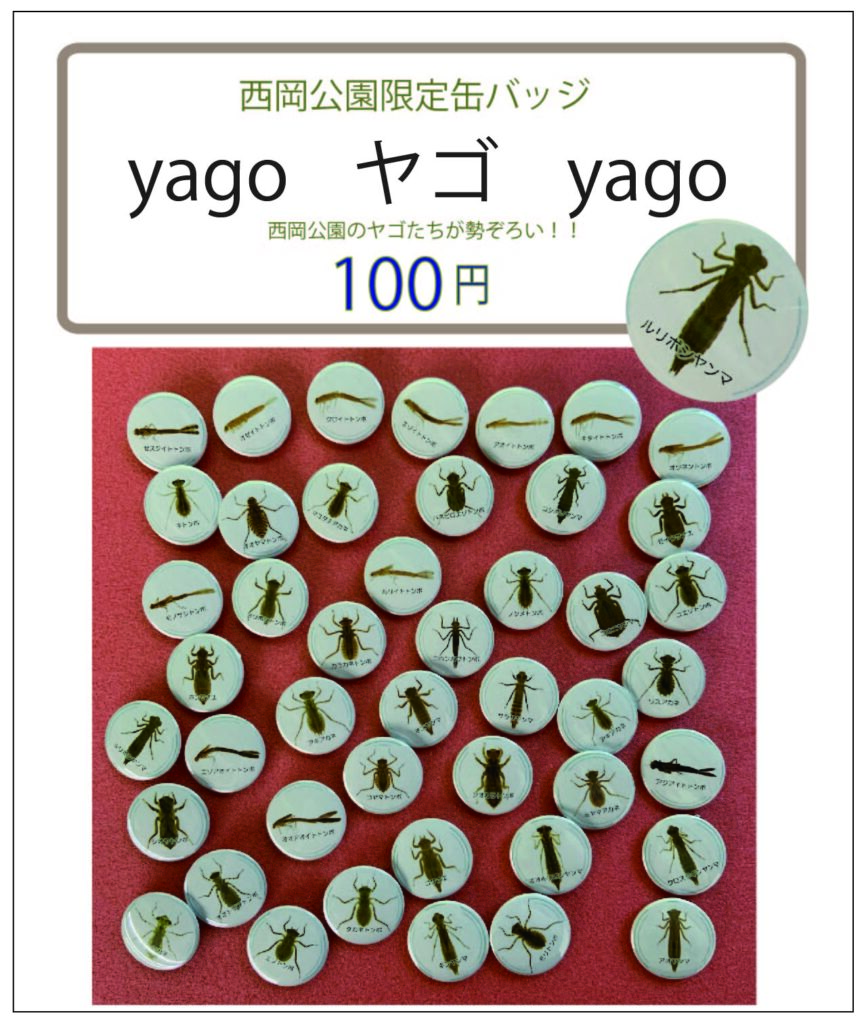 ヤゴの缶バッチ