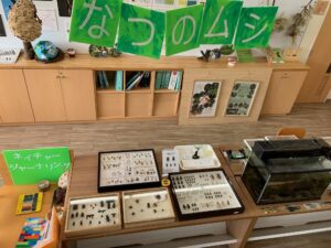 「なつのムシ」の展示
