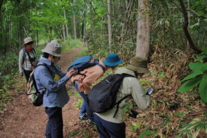 園内を散策する参加者