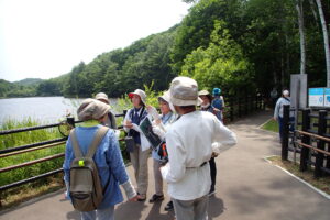 池に水を飲みに来たハリオアマツバメの説明を聞く参加者