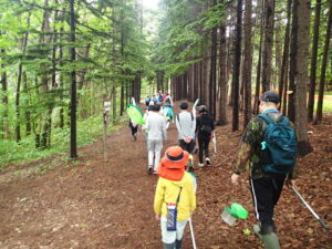 森の中へ入っていく親子