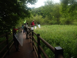 木道で網を振る子供たち