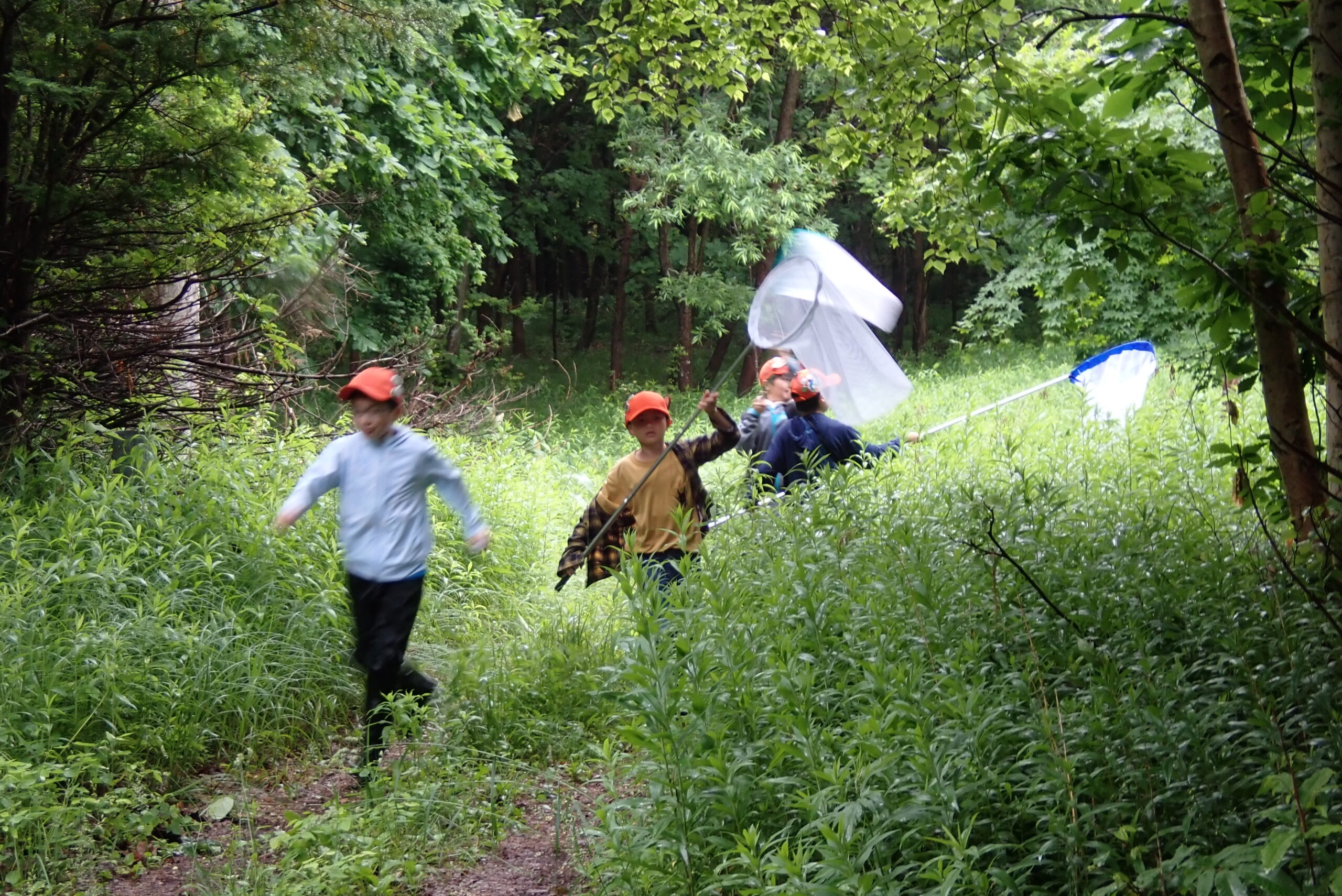 虫網を持って走る子供たち
