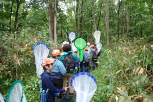 森の中へ入っていく親子
