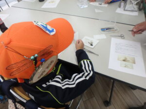 標本を作ってみる団員