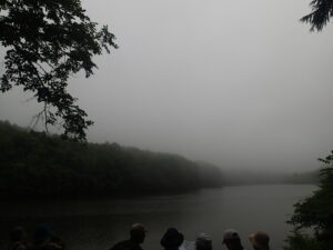 霧に包まれた池