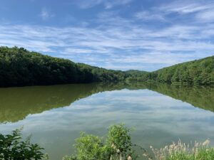 青い空と曇の映った池の様子