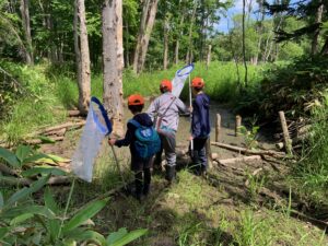 川に入って網を振る子供