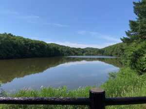 青空と緑の樹木に囲まれた池