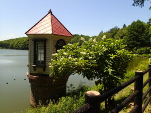 赤い屋根の取水塔とノリウツギの白い花