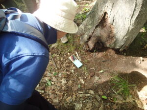 鏡越しの花の中を観察する参加者