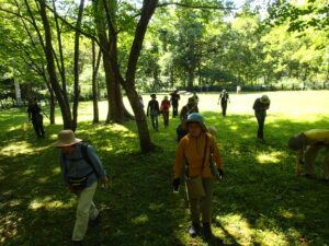 園内をのんびり散策する姿