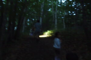 夜の森の中を歩く様子
