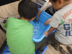 水槽の中に手を入れている子供