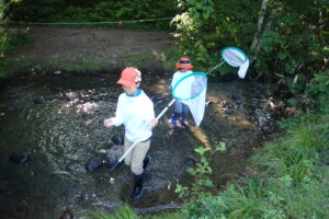 川に入ってトンボとりする団員