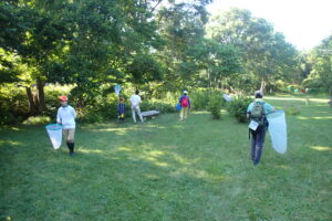 広場でトンボを探す団員