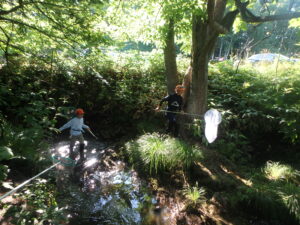 川に入ってトンボとりする団員