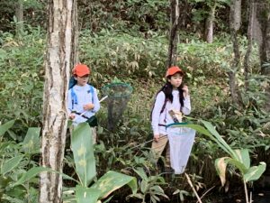 湿原でトンボを採る子供たち