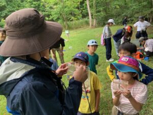 さかな組体験会