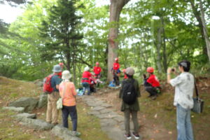 ツリークライミング