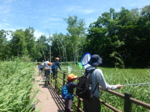 トンボ採りする子供