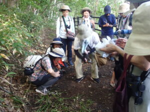 自然観察をする参加者