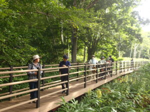 自然観察をする参加者