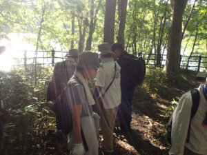 自然観察をする参加者